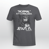 Normal isn't coming back Jesus is - Standard T-shirt