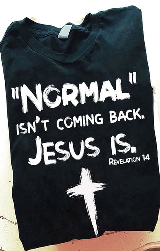 Normal isn't coming back Jesus is cross classic - Standard T-shirt